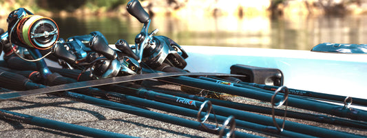 Stay Versatile for Bass