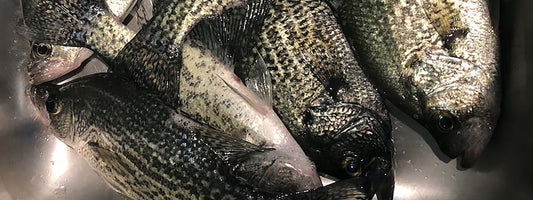 Slip-Sliding Your Way to Better Panfishing