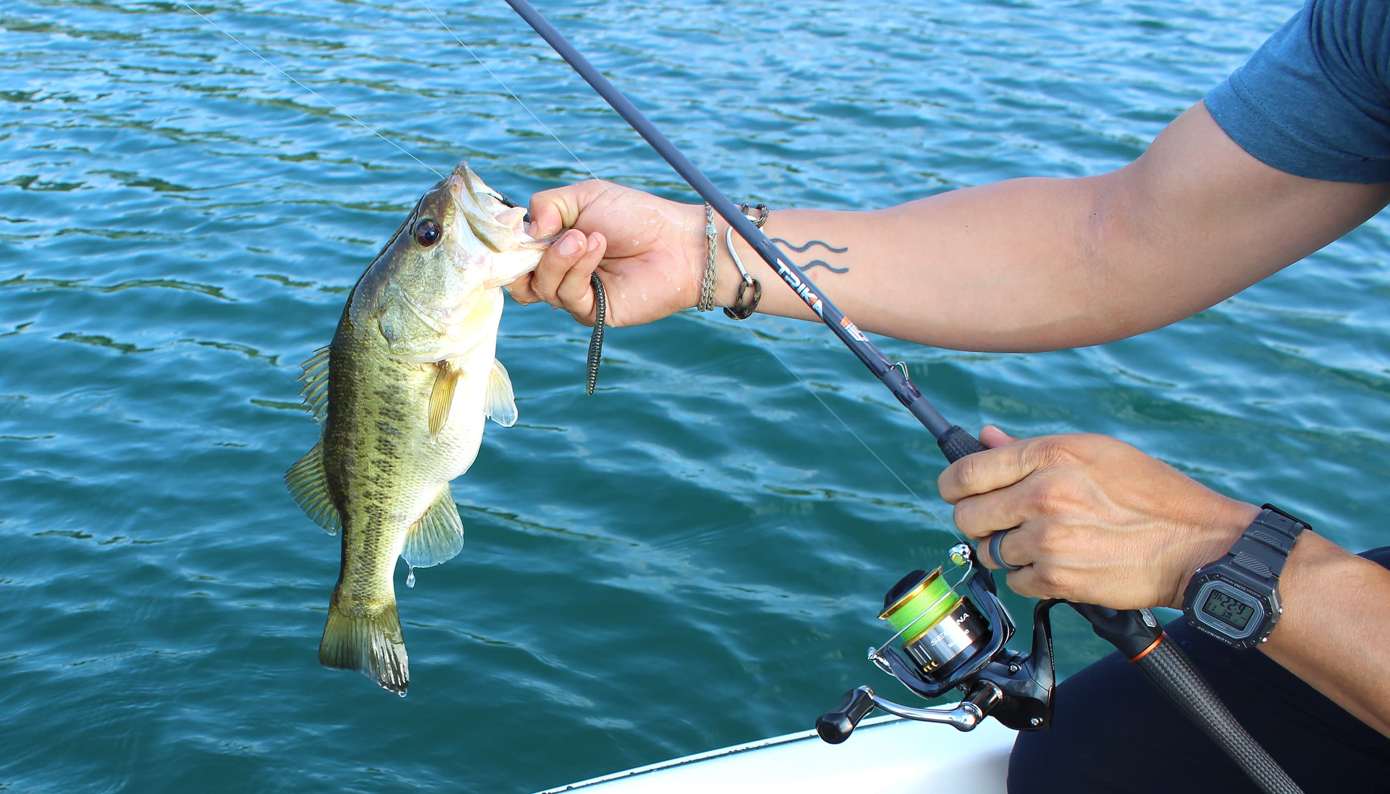 When and Why to Use Certain Hooksets for Bass Fishing - Wired2Fish