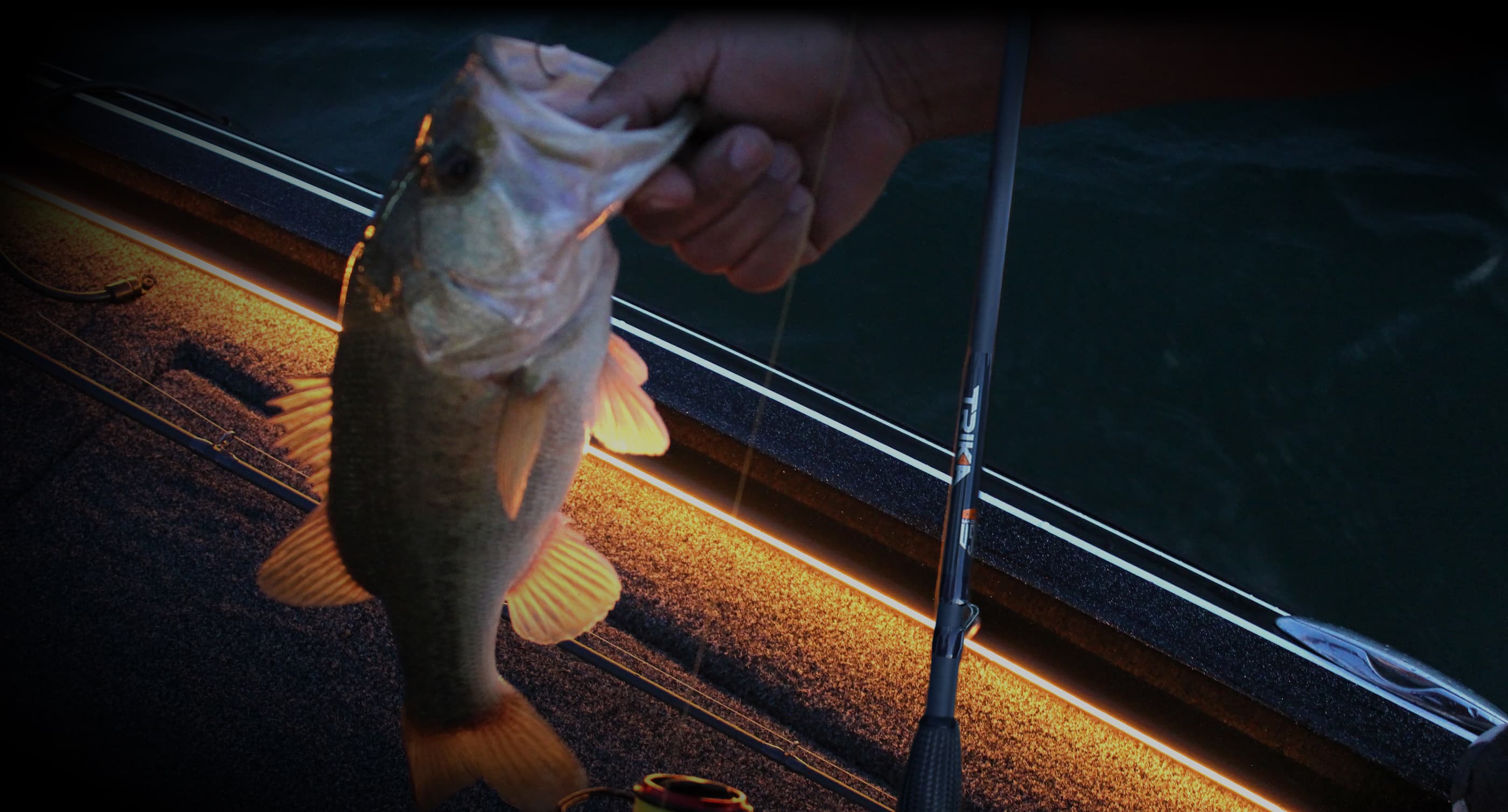 Close up of a small-mouth bass that was hooked by a Trika casting rod that is engineered, designed, and manufactured in the USA