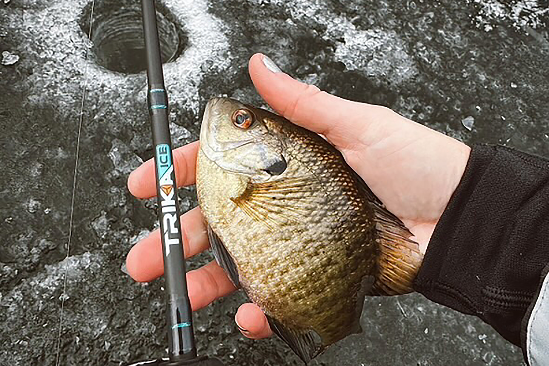 Trika Fishing ICE Series Rod | ICE36MF